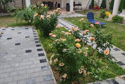 Casă in zona Iosefin - 13