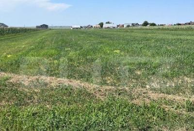 Teren de 9782 mp, în Central