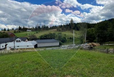 Teren 4397 mp Intravilan  Manastirea Humorului / Lunga Bucovina - 21