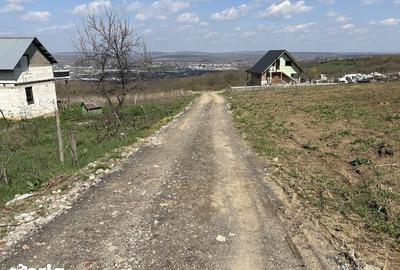 Teren de 700 mp, în Tomești - 7