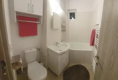 Apartament cu 2 camere decomandat în Griviței - 3