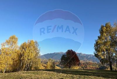 Oportunitate de investitie ! Teren de vis in Pestera - ... - 15