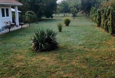 Casă cu 3 camere cu Teren 2000 Mp în Careiului - 8