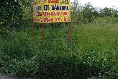 Teren de 3670 mp, în Bălușeni