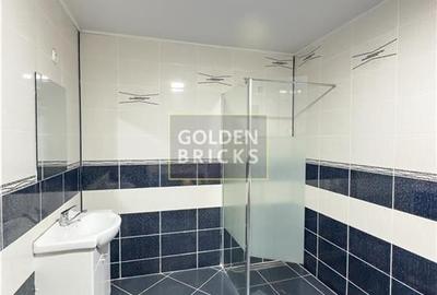 Pache Protopopescu | PROTV | Vizibilitate |  Curte 250 mp | Garaj - 22