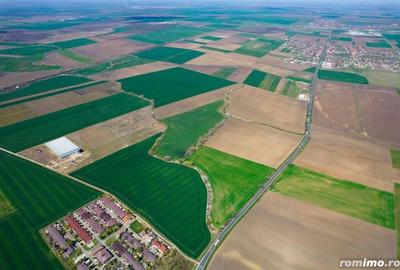 Teren extravilan intre Arad ?i Zimand - 2