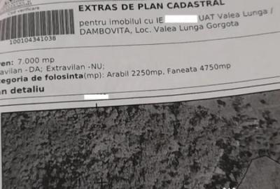 Teren de 7000 mp, în Ștubeie Tisa - 4