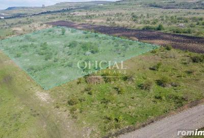 Teren de 864 mp, în Chinteni - 3