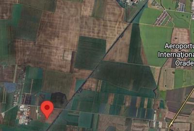 Teren de 8632 mp, în Cociuba Mare - 3