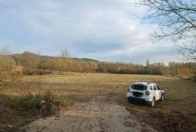 Spațiu comercial, în Central - 2