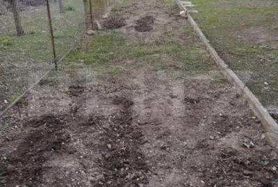 Apartament cu 3 camere decomandat în Mihai Viteazu - 10
