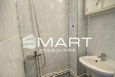 Garsoniera zona Terezian Garsoniera zona Terezian - 3