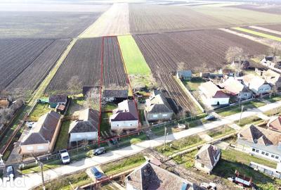 Casă cu 4 camere cu Teren 3122 Mp în Petrești - 2