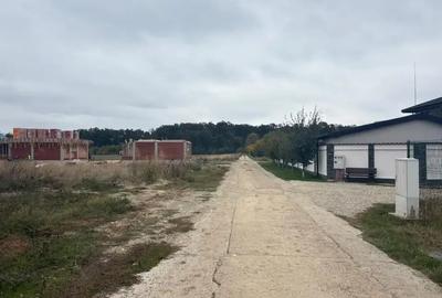 Oportunitate Teren Case Individuale sau Duplexuri Padurea Cernica 300m - 4