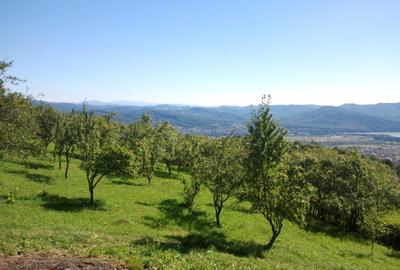 Teren livadă cu panoramă superbă Dealul Malului pentru casă sau cabană - 36