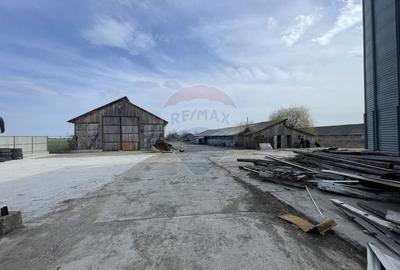 Teren Construcții intravilan de 73351 mp, în Sud - 10