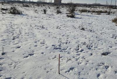 Spațiu comercial, în Moșnița Nouă - 2