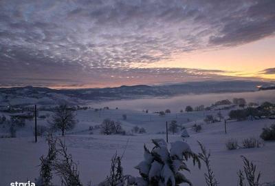 Teren de 5200 mp, în Roșia - 6