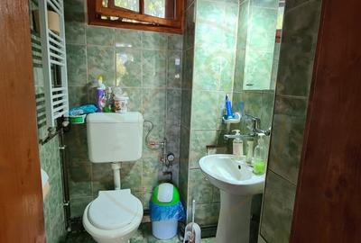 De Vanzare Casa si Cabana 74 ari Viille Satu Mare - 10