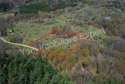 Teren de vanzare in Curtea de Arge?, strada Bu?aga. Teren de vanzare in Curtea de Arge?, strada Bu?aga. - 2