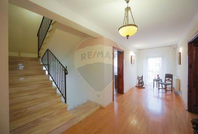 Hotel/Pensiune, de 438 mp, în Nufărul - 32