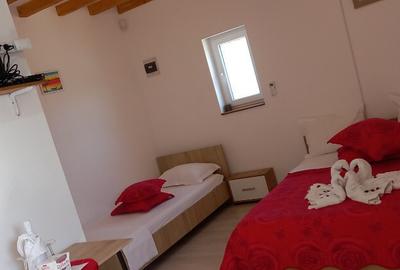 Vila cu piscina +Vila turistica profitabila la mare - 6