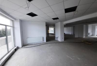 Spatiu Comercial, 255 mp, Cluj-Napoca - 6