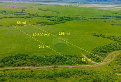 Teren 10,800mp Rasnov / Drumul DN73 - 15