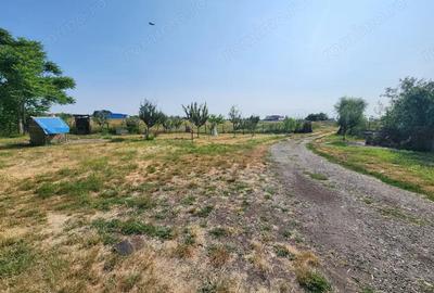 Spațiu comercial, de 600 mp, în Sânandrei - 1