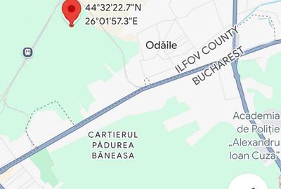 Spațiu comercial, în Mogoșoaia - 1