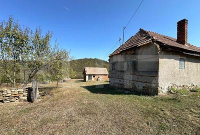 Teren de 14000 mp, în Vințu de Jos