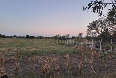 Teren intravilan Les/Bihor - 8