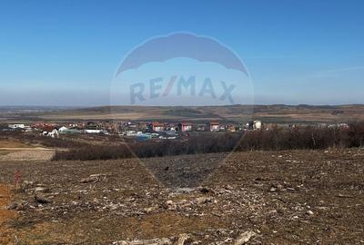 Teren Construcții intravilan de 618 mp, în Paleu - 7