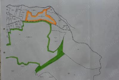 Vanzare 50 Ha pasune, judetul Prahova - 11