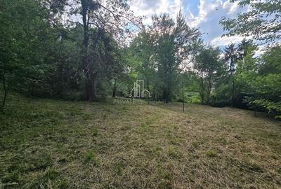 Casa 187Mp suprafat utila in zona centrala a Sighisoarei - 18