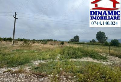 Teren 3600 mp intravilan, Piatra-Neamt, 25 Eur MP - 1