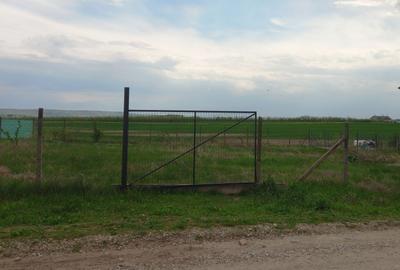 Spațiu comercial, în Central - 2