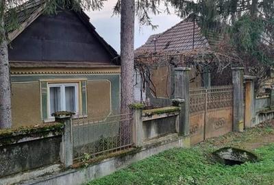 RECO Casa batraneasca cu teren generos in localitatea Tria - 2