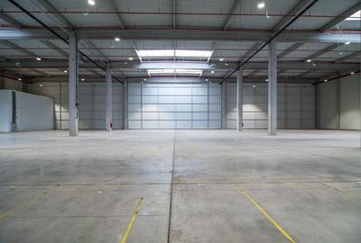 Hală nouă clasa A în parc industrial Arad - 4