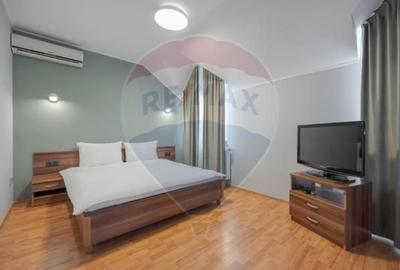 Casă / Vilă cu 16 camere de vânzare Sanmartin/Stefan cel Mare - 15