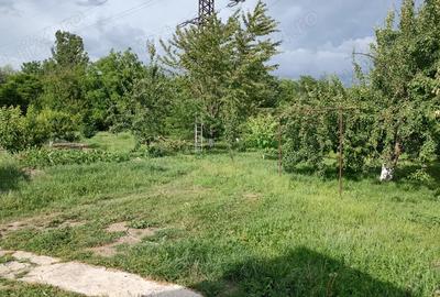 Casa de vanzare in Broscauti Casa de vanzare in Broscauti - 6