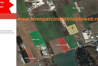 Teren în Vest - 1