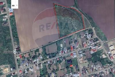 Teren de 16700 mp, în Vest