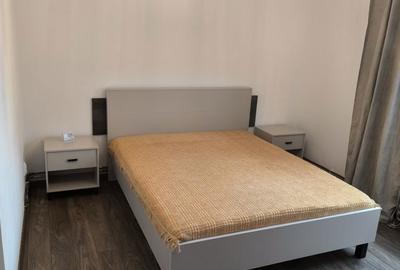 Apartament cu 2 camere decomandat în Beba Veche - 3