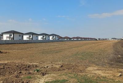 Spațiu comercial, în Domnești - 5