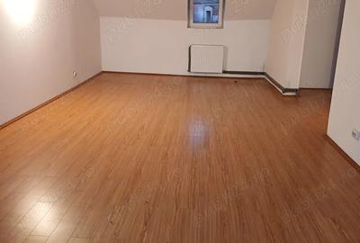 Vila de inchiriat D+P+E+M in zona Prefectura - 10