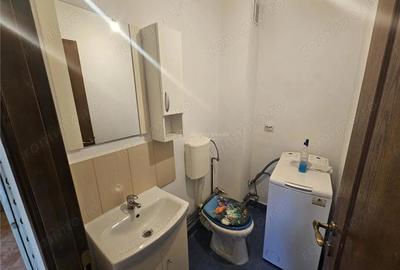 Apartament cu 3 camere semidecomandat în Calea Caransebeșului - 16