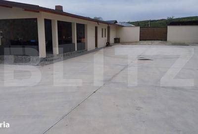 Casă cu 4 camere în Căprioru - 5