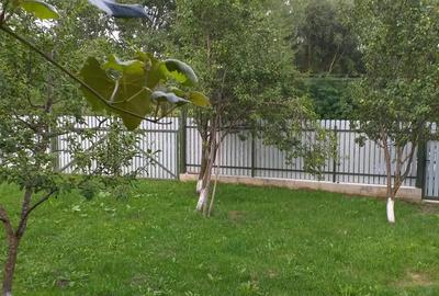 Vand casa loc.Stefan cel Mare - 4