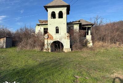 Casă cu Teren 53000 Mp în Bradu - 2